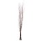 Brown Natural Decorative Dry Branches Authentic Willow Birch Sticks for Home Decoration and Wedding Craft